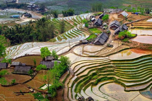 Rice-Terraces-of-Sapa,-Vietnam